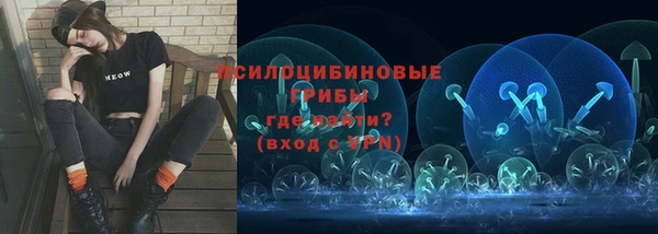 сатива Волосово
