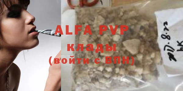 сатива Волосово