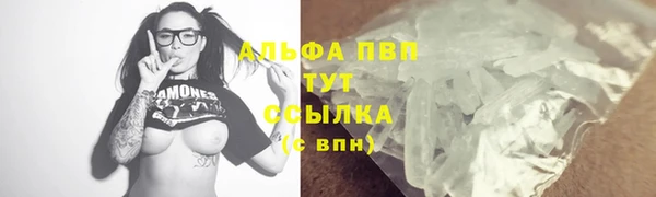 сатива Волосово