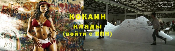 сатива Волосово