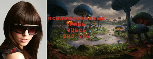 кокс Вяземский