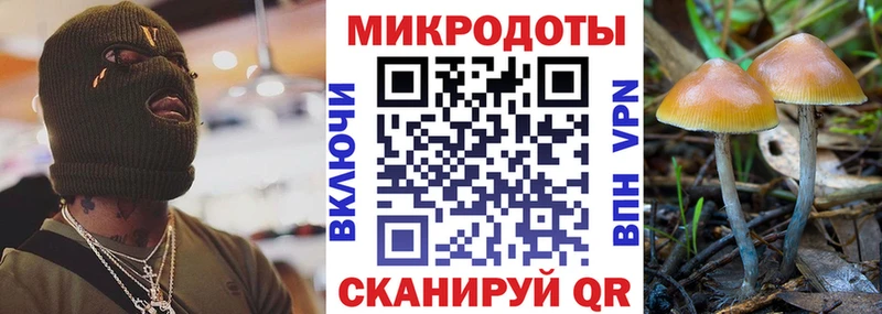 Псилоцибиновые грибы мицелий  где найти   Назарово 